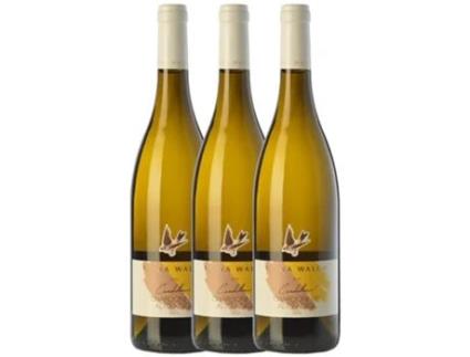 Elena Walch Cardellino Chardonnay Alto Adige 75 cl (Caixa de 3 unidades)