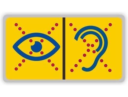 Audiência Limitada Visão Limitada Pin Baixa Visão e Deficientes Visuais Reconhecimento Surdo Cego LIMITED HEARING