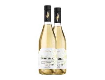 Vinho branco CAMPESTRAL Velo de Flor White Palomino Fino Vino de la Tierra de Cádiz Crianza (0.75 L - 2 Unidades)