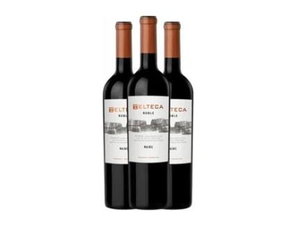 Vinho AGOSTINO Telteca Malbec Mendoza Carvalho (0.75 L - 3 Unidades)