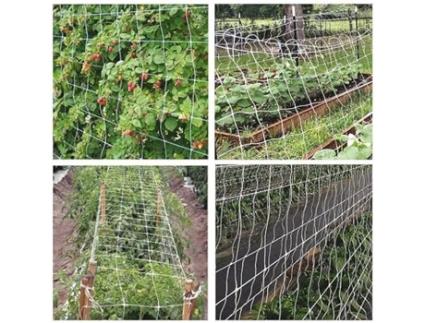 Cortador de Grama Sustengreen H150 Rt Ml1000 LOMBARDIANGELO