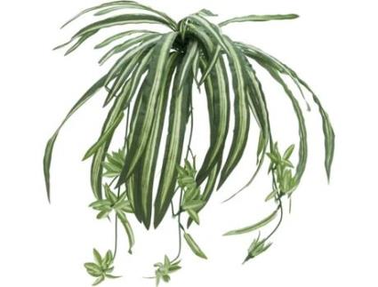 Planta Artificial EUROPALMS Spider Plant (Verde - 60 cm)