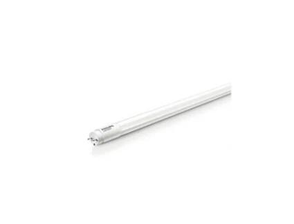 MAZDA conduziu o tubo 1200Mm 15 5W 865 6500K 54245400