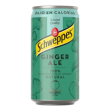 Bebida Refrescante  Ginger Ale (25 cl)