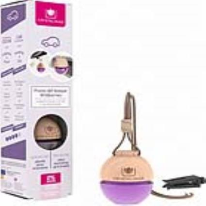 Ambientador Para Automóveis  Frutos do bosque (6 ml)