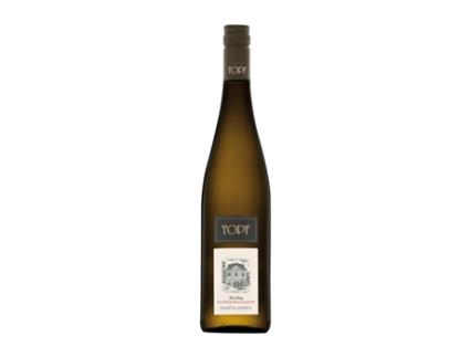 Vinho branco JOHANN TOPF Wechselberg Spiegel 1.ÖTW Riesling Kamptal Reserva (0.75 L - 1 Unidade)