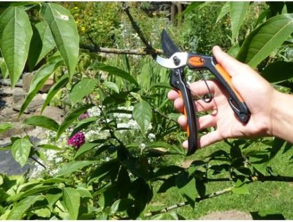 Tesoura de Jardim Primus Masculina Comprimento: 205 Mm GARTEN PRIMUS