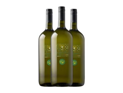 Vinho branco VILLA SANTA FLAVIA Chardonnay Venezia Garrafa Magnum (1.5 L - 3 Unidades)