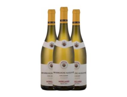 Vinho branco MOILLARD GRIVOT Aligoté Bourgogne Aligoté Jovem (0.75 L - 3 Unidades)