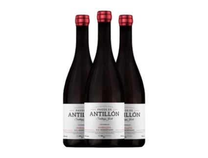 Vinho THE WINE HUNTER Pagos de Antillón Parraleta Somontano (0.75 L - 3 Unidades)