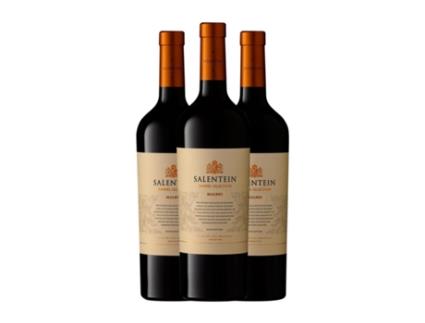 Vinho SALENTEIN Barrel Selection Malbec Valle de Uco (0.75 L - 3 Unidades)