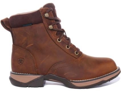 Botas de Mulher ARIAT Pele Castanho (40)