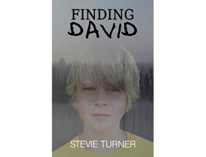 Livro Finding David A Paranormal Short Story de Stevie Turner (Inglês)