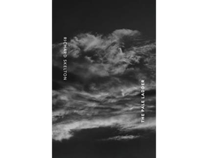 Livro The Pale Ladder Selected Poems Texts 20092014 de Richard Skelton (Inglês)