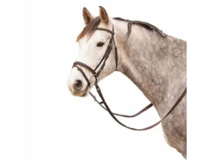 Refrear Diamant Castanho Shetlandstar