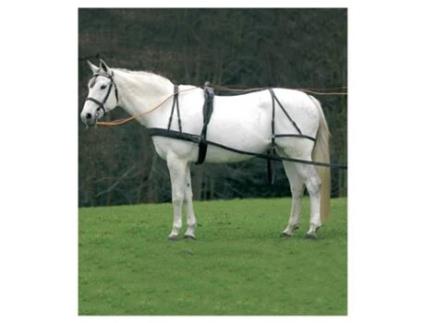 Rédeas Single Economic Dourado Ponystar