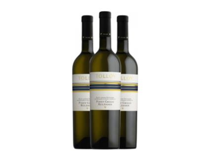 Vinho branco TOLLOY Pinot Cinza Alto Adige (0.75 L - 3 Unidades)