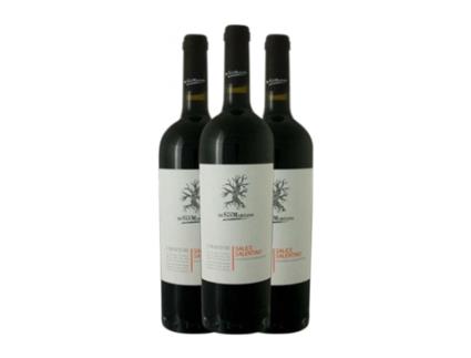 Vinho SAN MARZANO Salicentino Puglia (0.75 L - 3 Unidades)