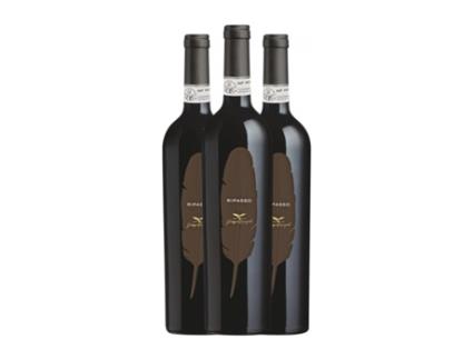 Vinho GIUSEPPE CAMPAGNOLA Piuma Valpolicella Ripasso (0.75 L - 3 Unidades)