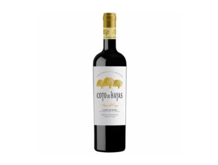 COTO DE HAYAS Viñas Del Cierzo Colheita 2019 Formato Garrafa de 75Cl.