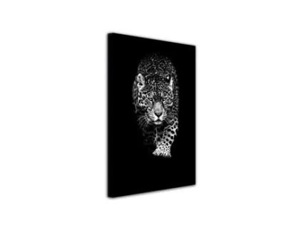 SEM MARCA / UNIVERSAL - Declina Pintura Fotográfica em Tela Leopardo Pintura Decorativa de Animais em Preto e Branco 100X150 Cm Declina Pintura Fotográfica em Tela Leopardo Pintura Decorativa de Animais em Preto e Branco 100X150 Cm