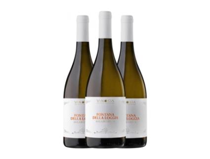 Vinho branco VINOSÌA Fontana della Loggia Falanghina Irpinia Falanghina (0.75 L - 3 Unidades)