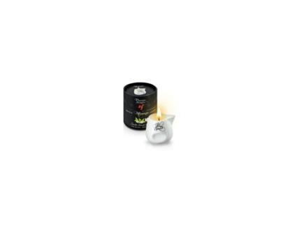 Vela de Massagem PLAISIRS SECRETS Chá Branco 80 ml