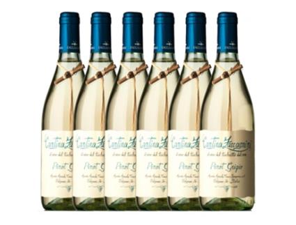 Zaccagnini Tralcetto Pinot Cinza Colline Teatine 75 cl (Caixa de 6 unidades)