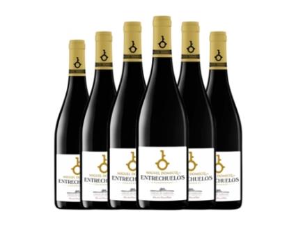 Vinho branco ENTRECHUELOS Chardonnay Vino de la Tierra de Cádiz Jovem (0.75 L - 6 Unidades)