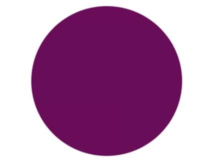 Batom Volumizante 4,5 Ml Tonalidade: 06 Roxo Extremo INCAROSE