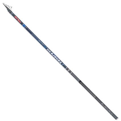 Falcon Cana Bolonhesa Venere