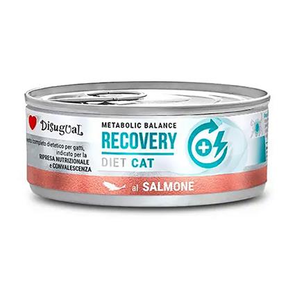 Disugual Comida Húmida Para Gatos 12x85g Recovery