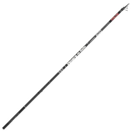 Falcon Cana Bolonhesa Venere No Limits