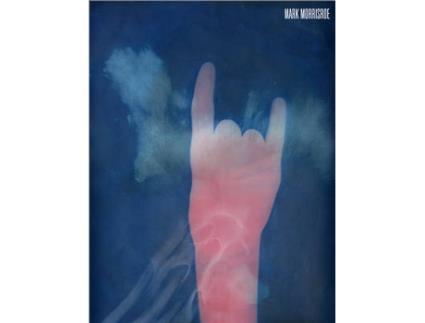 Livro mark morrisroe de stuart comer,thomas seelig,elisabeth lebovici (inglês)