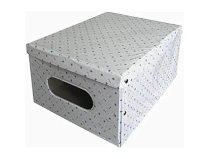 Caixa de Armazenamento Plástica LAVATELLI Kanguru Jumby Tamanho Grande 40X50X25Cm Flor de Lis