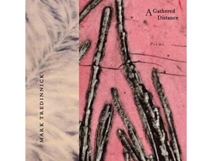 Livro A Gathered Distance Poems de Mark Tredinnick (Inglês)