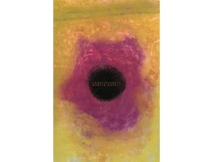 Livro consciousness de Martin Nakell (Inglês)