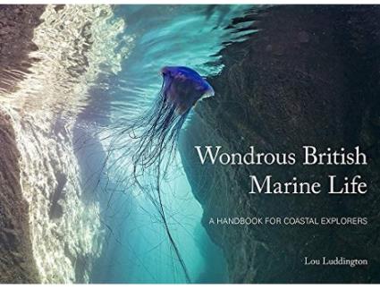 Livro Wondrous British Marine Life de Lou Ludington (Inglês)