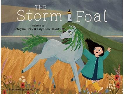 Livro The Storm Foal de Megsie Bray Lily Cleo Hewitt (Inglês)