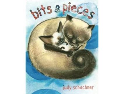 Livro bits pieces de Judy Schachner (Inglês)