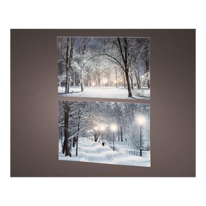 QUADRO LED PAISAGENS NEVADOS 38x58x1,5CM 6 LEDS 2 MODELOS SORTIDOS