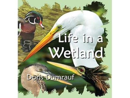 Livro Life In A Wetland de Doris Dumrauf (Inglês)