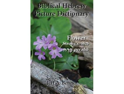 Livro Biblical Hebrew Picture Dictionary de Jeff A Benner (Inglês)