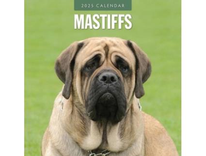 Livro Mastiffs 2025 Square Wall Calendar de Red Robin (Inglês)