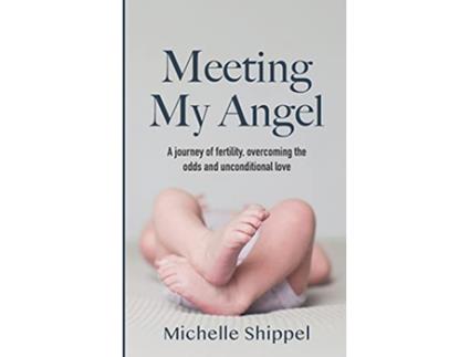 Livro Meeting My Angel de Michelle Shippel (Inglês)