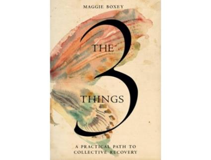 Livro The 3 Things de Maggie Boxey (Inglês - Capa Dura)