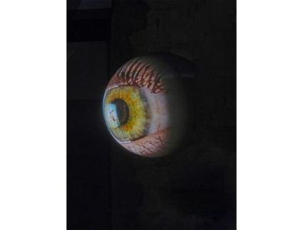 Livro Tony Oursler de Tony Oursler (Inglês)