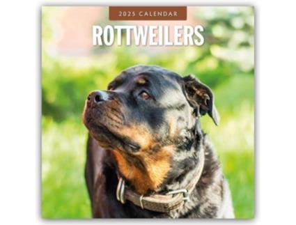 Livro Rottweilers 2025 Square Wall Calendar de Red Robin (Inglês)