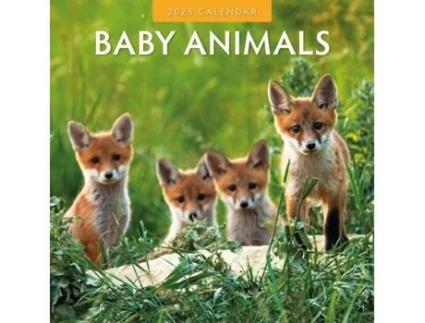 Livro Baby Animals 2025 Square Wall Calendar de Red Robin (Inglês)