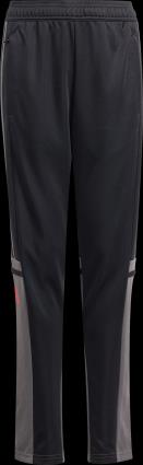 Calças adidas SQ25 TR PNT Y